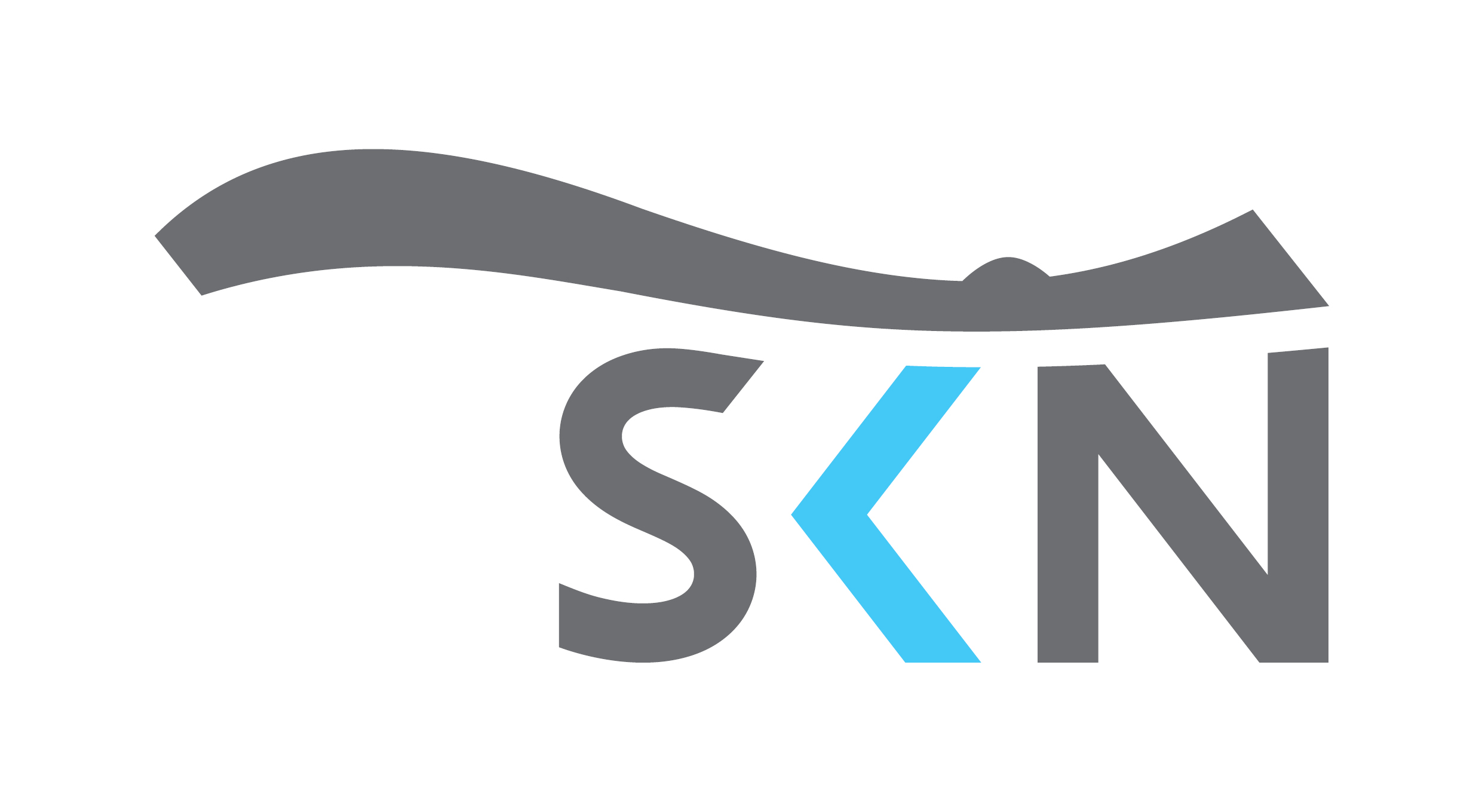 Logo SKN - otvorená kniha s okom a nápis SKN