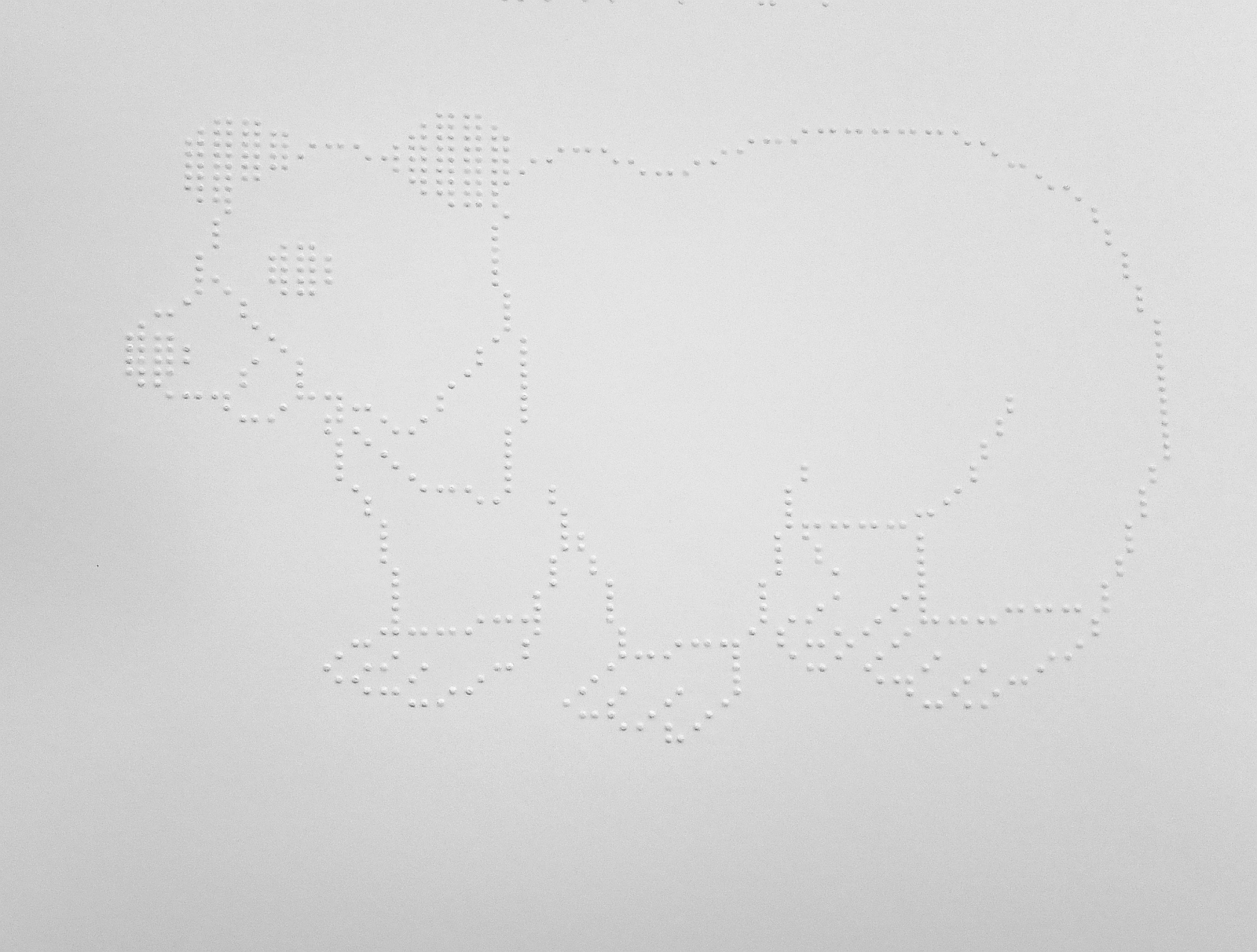 Fotografia obrázku z knižky v bodovej grafike. Na obrázku je obrys medveďa. 