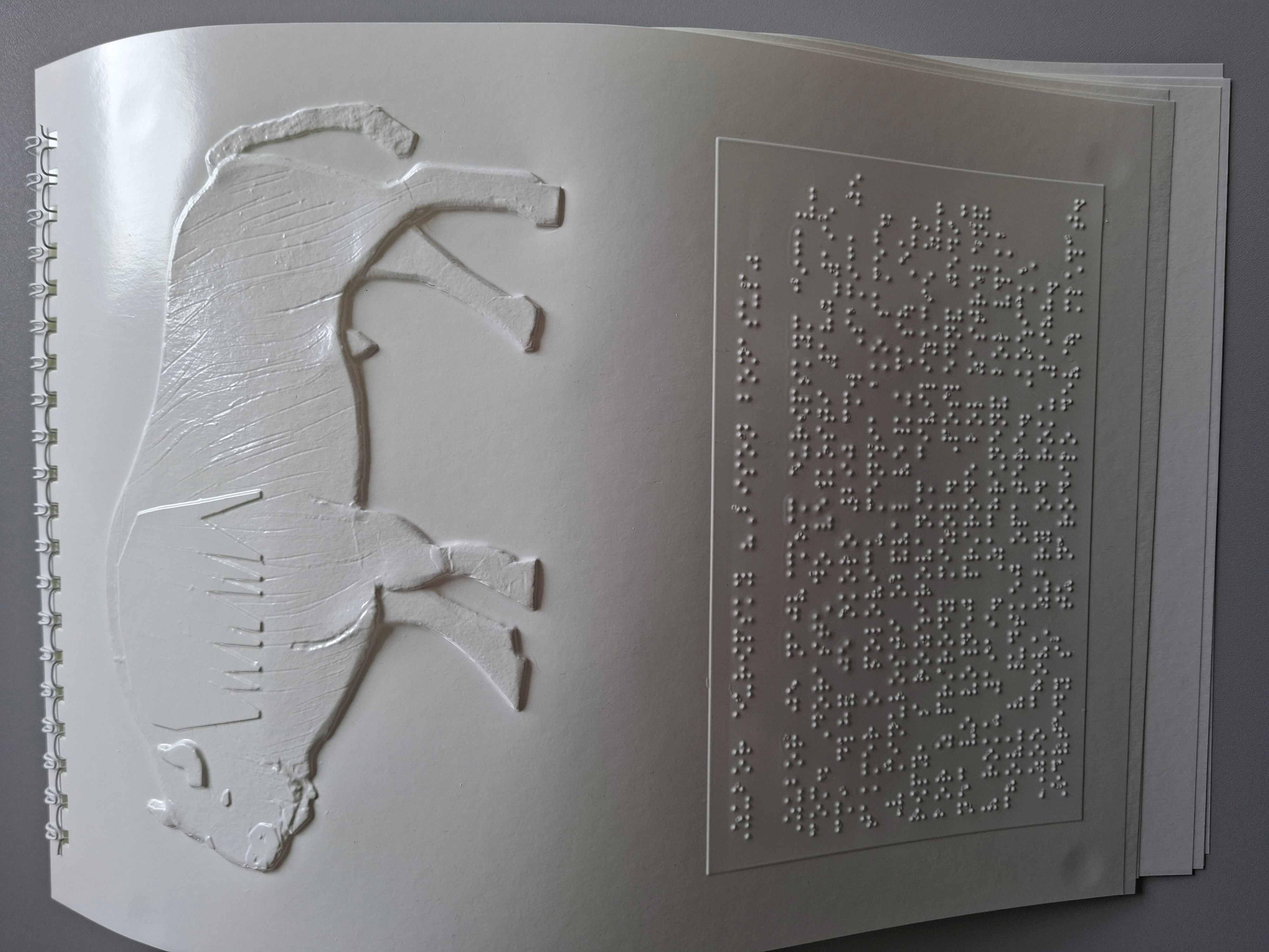 Na fotke je biely list v špirálovej väzbe s reliéfnym obrázkom zubra v hornej časti. V spodnej časti listu je veľký obdĺžnik vyplnený braillovým písmom.